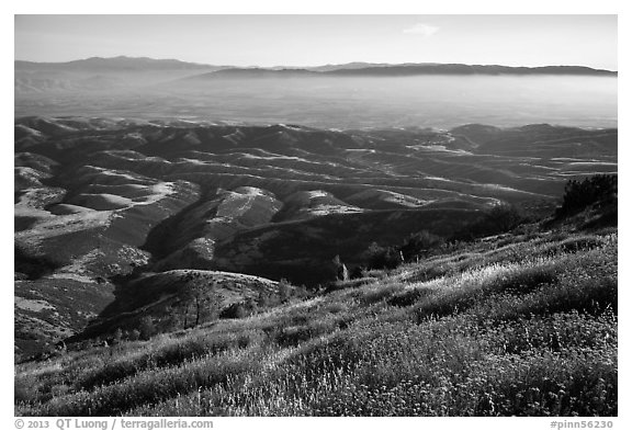 Grasses, hills, and Salinas Valley. Pinnacles National Park (black and white)