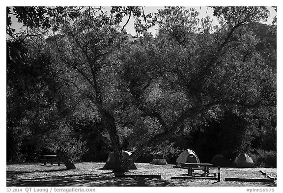 Campground. Pinnacles National Park (black and white)