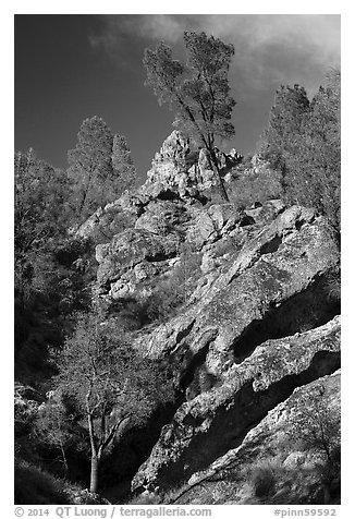 Looking up rock gully. Pinnacles National Park (black and white)