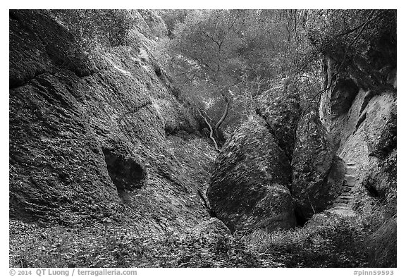 Balconies Cave trail. Pinnacles National Park (black and white)