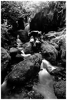 Cascade and mossy rocks, Trillium Falls, Prairie Creek Redwoods State Park. Redwood National Park ( black and white)
