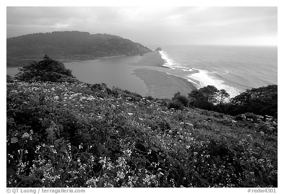Coastline from Klamath overlook. Redwood National Park (black and white)