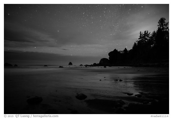 False Klamath Cove beach at night. Redwood National Park (black and white)