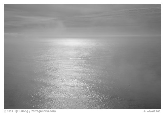 Ocean with sun reflection and fog. Redwood National Park (black and white)