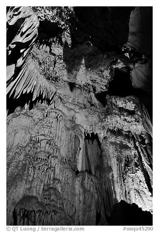 Curtain of icicle-like stalactites, Crystal Cave. Sequoia National Park (black and white)