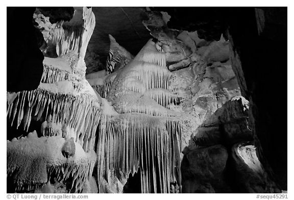 Ornate calcite stalactites, Crystal Cave. Sequoia National Park (black and white)
