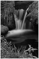 Stream cascade. Sequoia National Park, California, USA. (black and white)