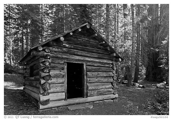 Squatters Cabin. Sequoia National Park, California, USA.