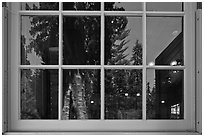 Sentinel tree, Giant Forest Museum window reflexion. Sequoia National Park, California, USA. (black and white)