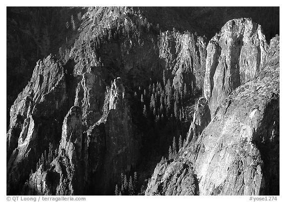 Cathedral Rocks seen from  top of El Capitan, early morning. Yosemite National Park (black and white)