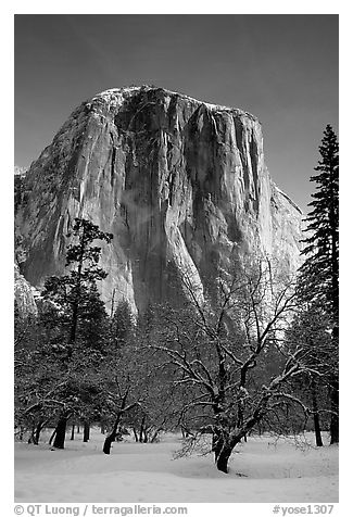 West face of El Capitan in winter. Yosemite National Park (black and white)