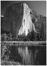El Capitan and Merced River reflection. Yosemite National Park, California, USA. (black and white)