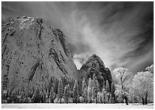 El Capitan Meadow and Cathedral Rocks with fresh snow. Yosemite National Park, California, USA. (black and white)