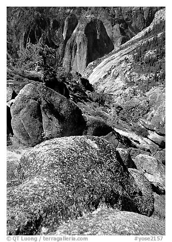Brothers seen from Eagle Peak. Yosemite National Park (black and white)