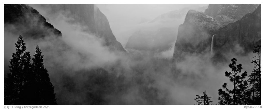 Fog in Yosemite Valley. Yosemite National Park (black and white)