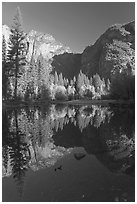 Autumn morning reflections, Merced River. Yosemite National Park, California, USA. (black and white)