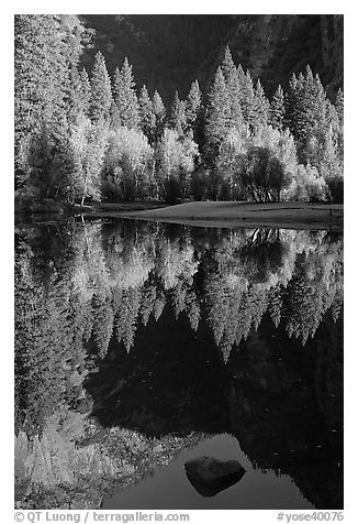 Reflections and rock, Merced River. Yosemite National Park (black and white)