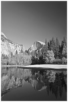 Trees in fall foliage and Half-Dome reflected in Merced River. Yosemite National Park, California, USA. (black and white)