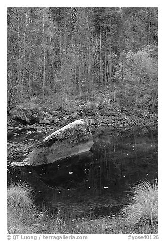 Boulder and reflections in  Merced River in autumn. Yosemite National Park (black and white)