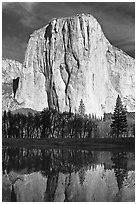 El Capitan and Merced River, morning. Yosemite National Park, California, USA. (black and white)