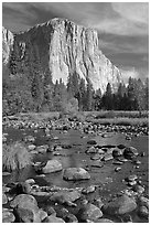 Pebbles, Merced River, and El Capitan, morning. Yosemite National Park, California, USA. (black and white)