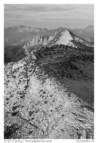 Sunset light over moutain near Mt Hoffman. Yosemite National Park (black and white)