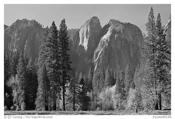 Cathedral Rocks seen from Sentinel Meadow. Yosemite National Park (black and white)