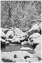 Snow-covered boulders in Merced River and trees. Yosemite National Park, California, USA. (black and white)
