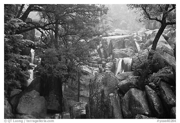 Lower Chilnualna Falls. Yosemite National Park (black and white)