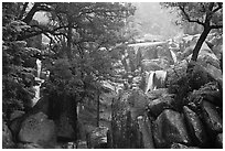 Lower Chilnualna Falls. Yosemite National Park, California, USA. (black and white)