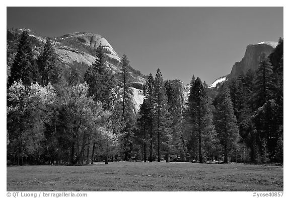 Meadow, North Dome, and Half Dome in spring. Yosemite National Park (black and white)