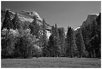 Meadow, North Dome, and Half Dome in spring. Yosemite National Park, California, USA. (black and white)