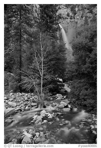 Lower falls, Cascade Creek. Yosemite National Park (black and white)