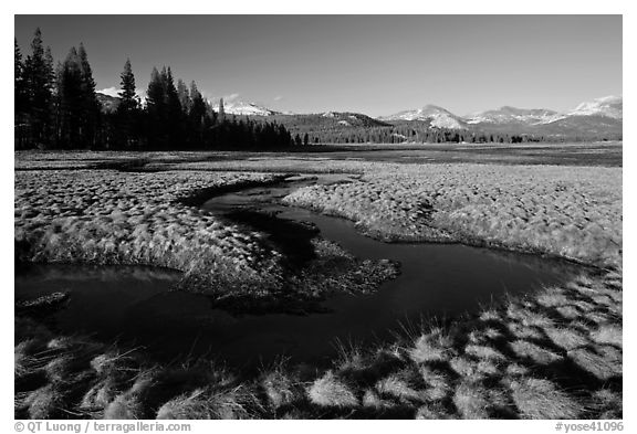 Meandering stream and grasses, early spring, Tuolumne Meadows. Yosemite National Park (black and white)