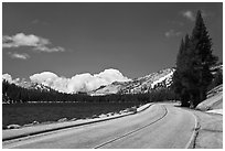 Highway hugging shore of Tenaya Lake. Yosemite National Park, California, USA. (black and white)