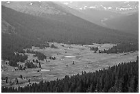 Dana Meadows seen from above, early summer. Yosemite National Park, California, USA. (black and white)