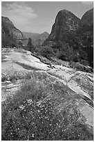 Summer wildflowers, Kolana Rock, and Hetch Hetchy reservoir. Yosemite National Park, California, USA. (black and white)