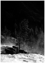 Tree in swirling waters and forest in shade, Waterwheel Falls. Yosemite National Park, California, USA. (black and white)