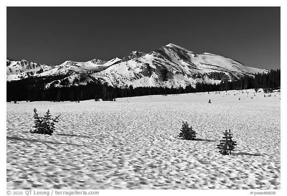 Suncups in Dana Meadow and Mammoth Peak. Yosemite National Park (black and white)