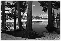 Tenaya Lake in the spring. Yosemite National Park, California, USA. (black and white)