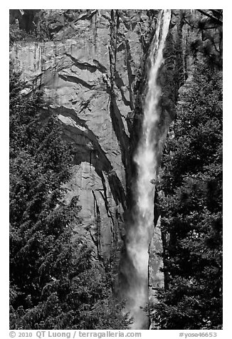 Trees, Ribbon Falls and cliffs. Yosemite National Park (black and white)