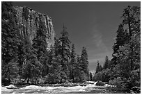 Merced River and El Capitan. Yosemite National Park, California, USA. (black and white)