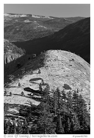 Smooth and rounded North Dome. Yosemite National Park (black and white)