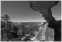Indian Rock arch and forest, morning. Yosemite National Park, California, USA. (black and white)