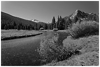 Tuolumne River in Lyell Canyon, morning. Yosemite National Park ( black and white)