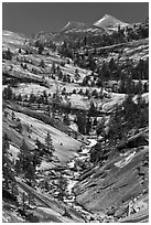 Landscape of smooth granite with flowing Merced. Yosemite National Park, California, USA. (black and white)