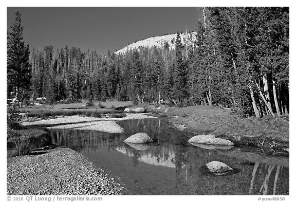 Stream in Long Meadow. Yosemite National Park (black and white)