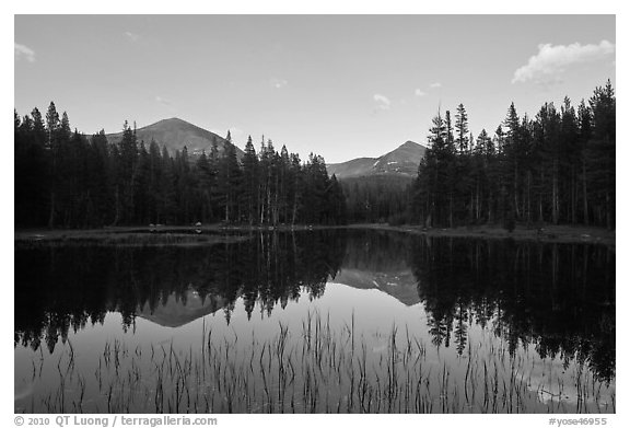 Mt Dana and Mt Gibbs reflected in tarn at sunset. Yosemite National Park (black and white)
