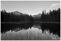 Mt Dana and Mt Gibbs reflected in tarn at sunset. Yosemite National Park ( black and white)