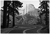 Half-Dome seen from road near Washburn Point. Yosemite National Park, California, USA. (black and white)